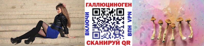 Галлюциногенные грибы Psilocybe  наркошоп  Сольвычегодск 